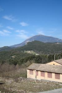 DSC00955