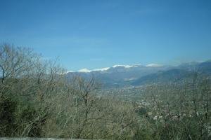 DSC00980