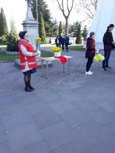 Razem, możemy wiele!  1000 żonkili zakwitło nadzieją! - kwiecień 2019 r.